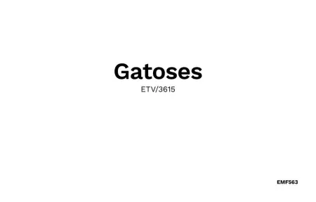 Gatoses, Maison 6 personnes à Sa Coma - Photo 50