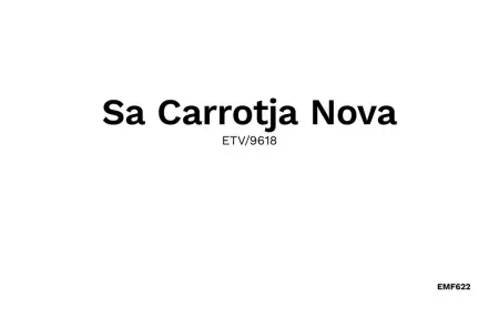 Sa Carrotja Nova, Maison 8 personnes à Porto Cristo - Photo 50