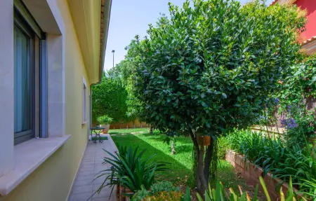 Bellviure Luxury Villa, Maison 8 personnes à Palma - Photo 15