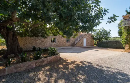 Can Tomeu de Son Negre, Maison 6 personnes à Felanitx - Photo 23