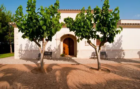 Cas Sabateret, Maison 8 personnes à Muro - Photo 25