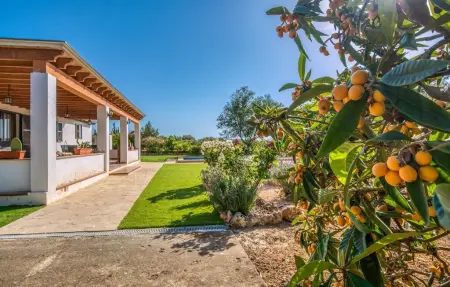 Roca de Tejos, Maison 6 personnes à Sa Coma - Photo 20