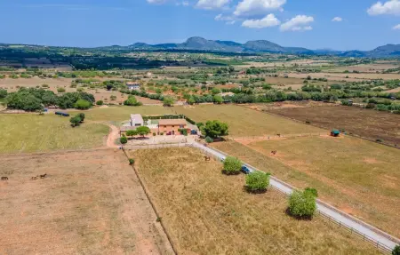 La Mallorquina, Maison 12 personnes à Manacor - Photo 16