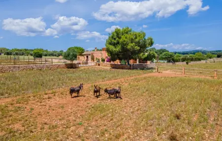 La Mallorquina, Maison 12 personnes à Manacor - Photo 54