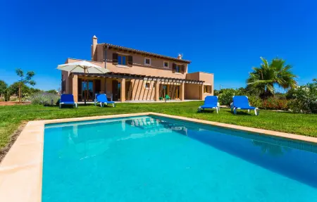 Pergola, Maison 6 personnes à Porto Cristo - Photo 6