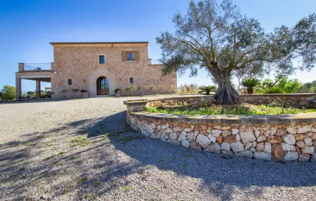 Ses Sitjoles Seques, Maison 10 personnes à Campos - Photo 12