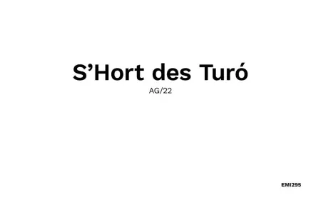 Es Turo Cabrera, Appartement 4 personnes à Ses Salines - Photo 45
