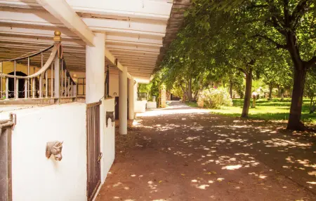 Santa Lucia, Maison 10 personnes à Binissalem - Photo 17