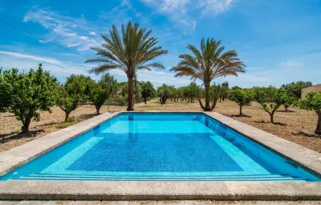 Sa Terra Grosa, Maison 6 personnes à Binissalem - Photo 11