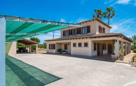 Sa Terra Grosa, Maison 6 personnes à Binissalem - Photo 13