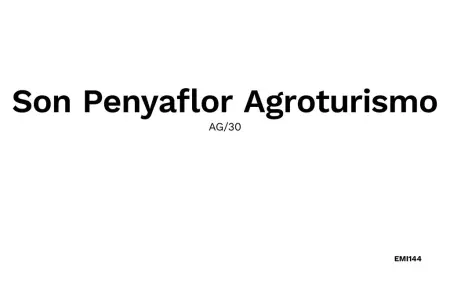 Son Penyaflor Agroturismo, Maison 12 personnes à Alaro - Photo 50