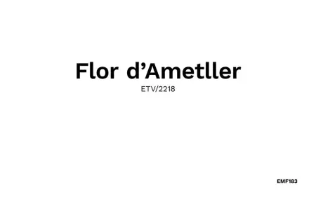 Flor, Maison 4 personnes à Colonia de Sant Pere - Photo 28