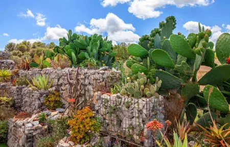 Villa Son Gat Mallorca, Maison 8 personnes à Montuiri - Photo 25