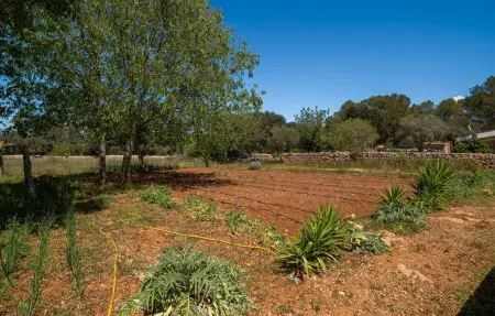 Es Campets, Maison 6 personnes à Sencelles - Photo 24