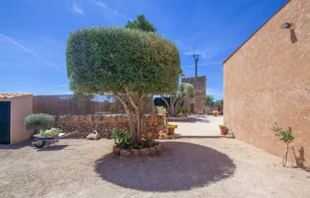 Es Mateus, Maison 6 personnes à Campos - Photo 17