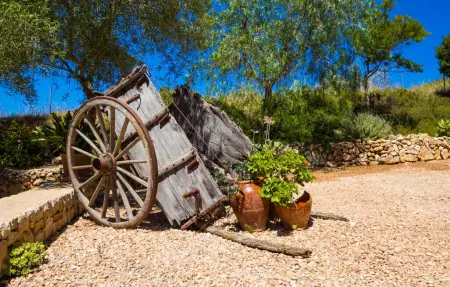 Sa Tortova, Maison 9 personnes à Manacor - Photo 20