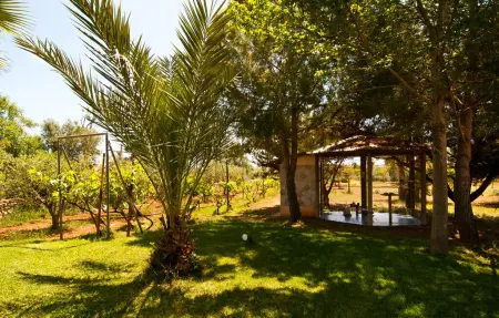 Can Lopez Vara, Maison 10 personnes à Campos - Photo 22