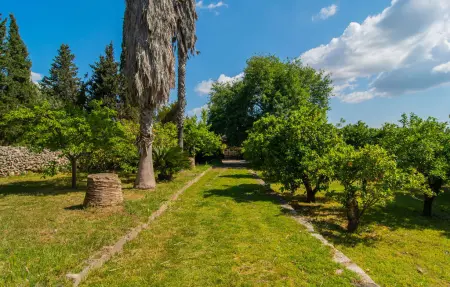 Sa Teulera, Maison 8 personnes à Sencelles - Photo 24