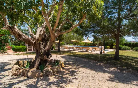 Els Girasols, Maison 8 personnes à Campos - Photo 21