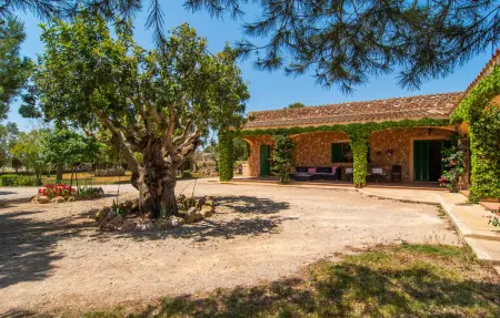 Els Girasols, Maison 8 personnes à Campos - Photo 22