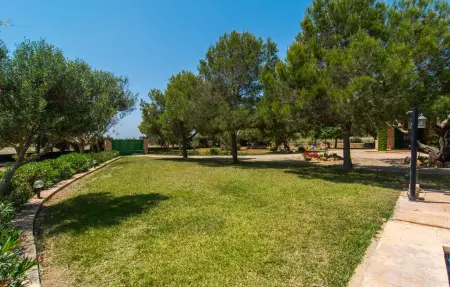Els Girasols, Maison 8 personnes à Campos - Photo 24