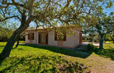 Garriga Nova, Maison 5 personnes à Sant Llorenc - Photo 20