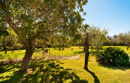 Garriga Nova, Maison 5 personnes à Sant Llorenc - Photo 22
