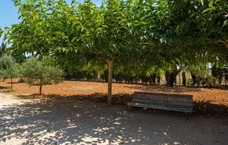 Es Cipres, Maison 6 personnes à Porreres - Photo 25