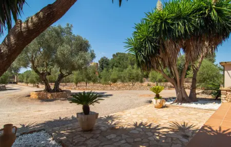 Ailen, Maison 6 personnes à Felanitx - Photo 18