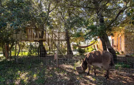 Els Nou Cortons, Maison 6 personnes à Son Servera - Photo 45