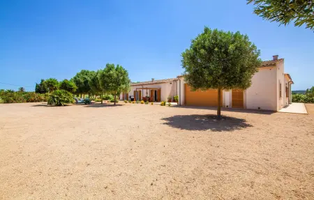 Ses Portes, Maison 8 personnes à Campos - Photo 23
