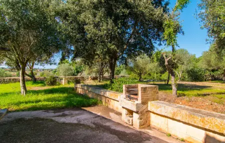 Sa Carrotja Vella, Maison 10 personnes à Porto Cristo - Photo 15