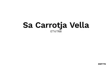 Sa Carrotja Vella, Maison 10 personnes à Porto Cristo - Photo 47