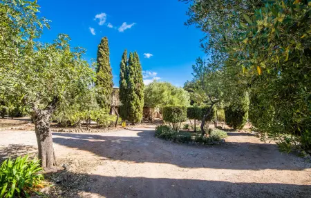 Bona Feina, Maison 4 personnes à Arta - Photo 28