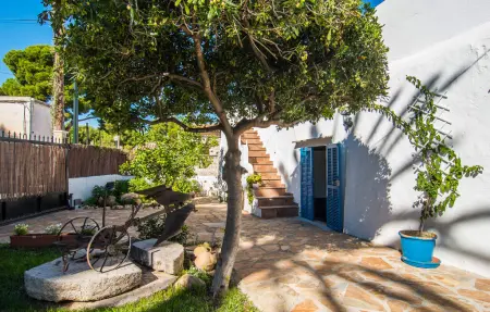 Molino de Son Moll, Maison 6 personnes à Cala Ratjada - Photo 18