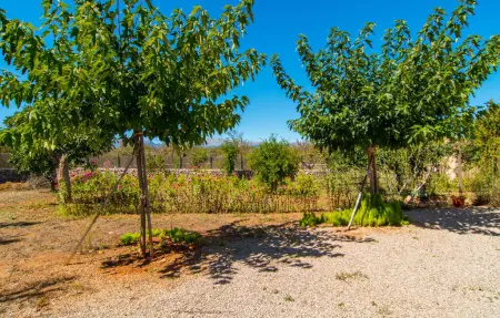 Ca Na Poveta, Maison 6 personnes à Santa Margalida - Photo 24