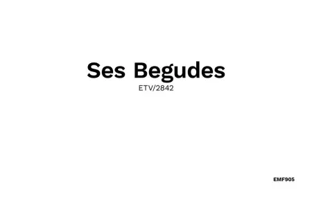 Ses Begudes, Maison 2 personnes à Fornalutx - Photo 35