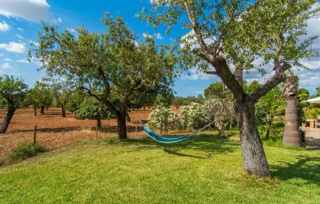 Son Ametller, Maison 8 personnes à Palma - Photo 14