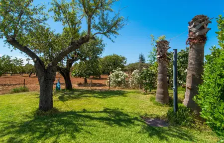 Son Ametller, Maison 8 personnes à Palma - Photo 15