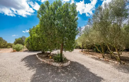 Casa Son Moix, Maison 4 personnes à Manacor - Photo 27