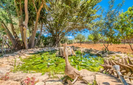 Es Lledoner Dos, Maison 5 personnes à Felanitx - Photo 25