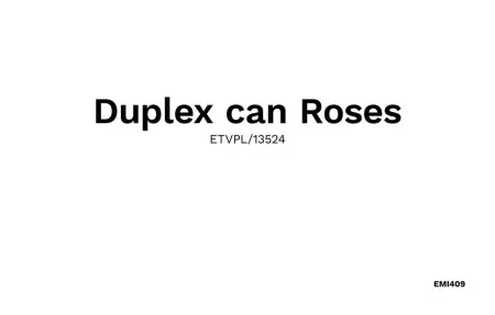 Duplex can Roses, Appartement 2 personnes à Moscari - Photo 34
