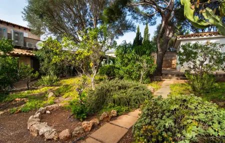 Calimero Alegria, Maison 8 personnes à Palma - Photo 16