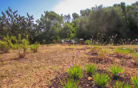 Can Terrasa, Maison 6 personnes à Canyamel - Photo 14