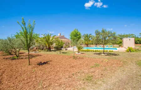 Sa Creueta de Son Fangos, Maison 4 personnes à Manacor - Photo 9