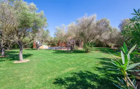 Sa Barraqueta des Cazadors, Maison 4 personnes à Campos - Photo 20