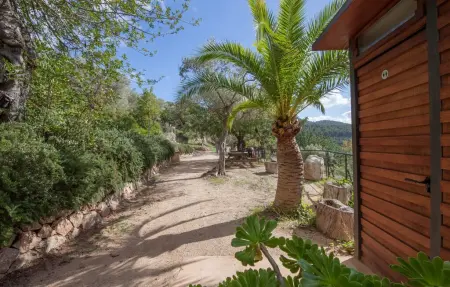 Alfabia Nou Uno, Appartement 2 personnes à Bunyola - Photo 10