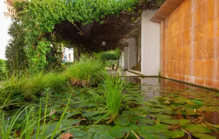 Alfabia Nou Uno, Appartement 2 personnes à Bunyola - Photo 25