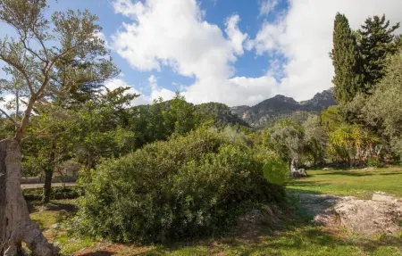 Alfabia Nou Uno, Appartement 2 personnes à Bunyola - Photo 27