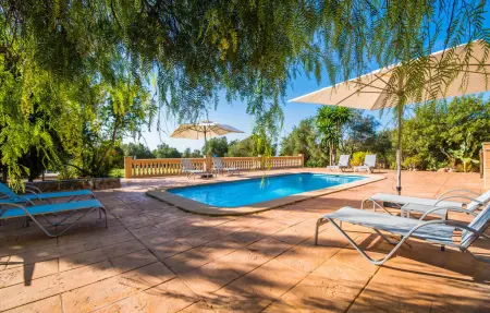 Agroturismo Es Bosc, Appartement 4 personnes à Manacor - Photo 4